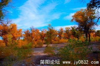DSC_3268.jpg