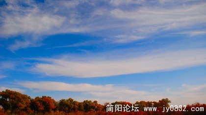 DSC_3279.jpg