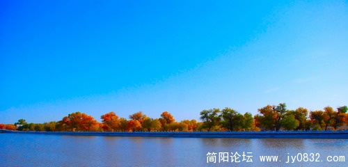 DSC_3321.jpg