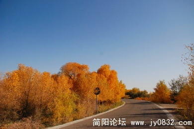 DSC_3380.jpg