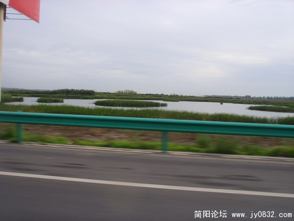 SSL23547.jpg