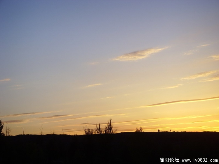 SSL23457.jpg