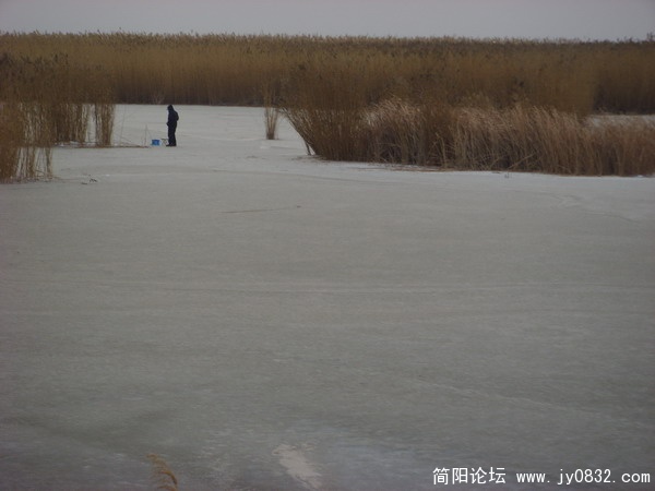 湿地钓鱼的.jpg