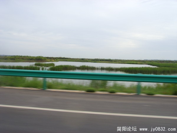 夏天的湿地.jpg