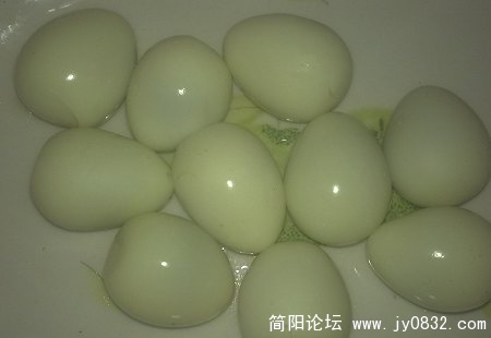 图像389.jpg