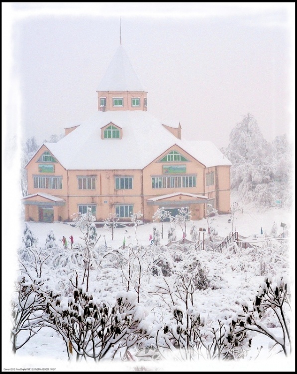 西岭雪山6.jpg
