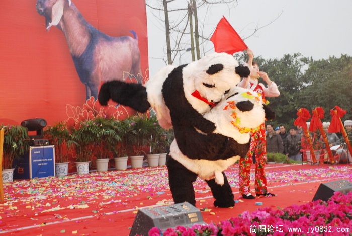 DSC_0049_exposure.JPG