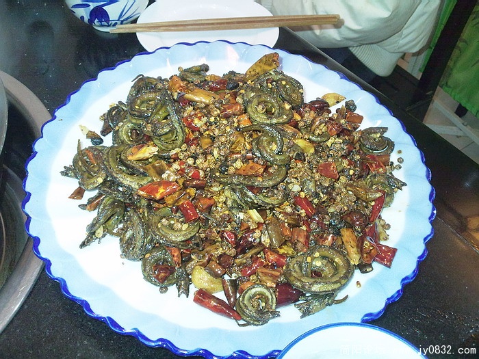 照片0259.jpg