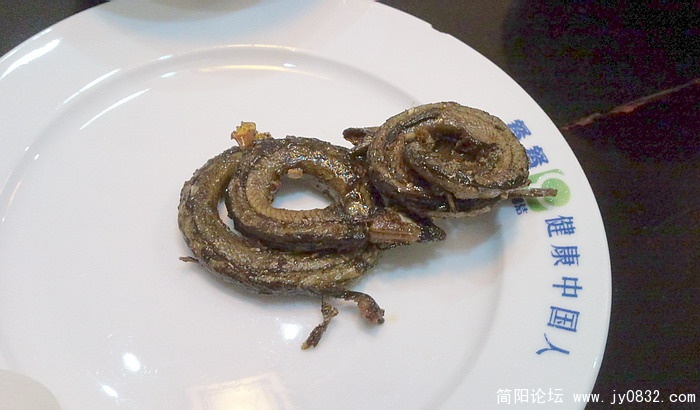 照片0260.jpg