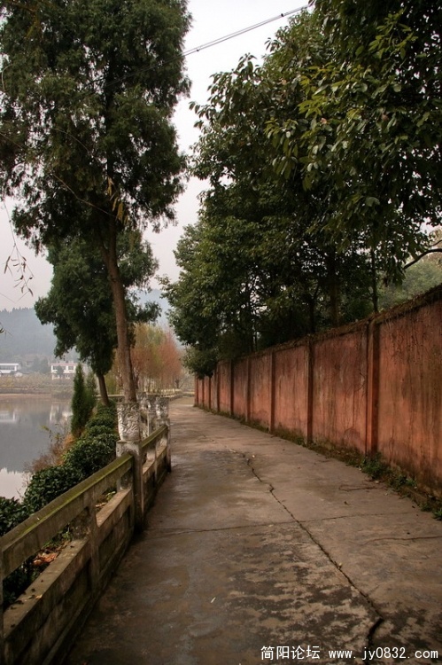 IMGP3604.jpg
