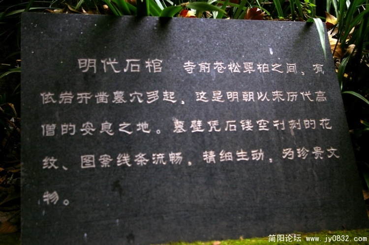 IMGP3649.jpg