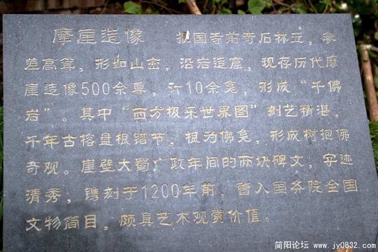IMGP3646.jpg