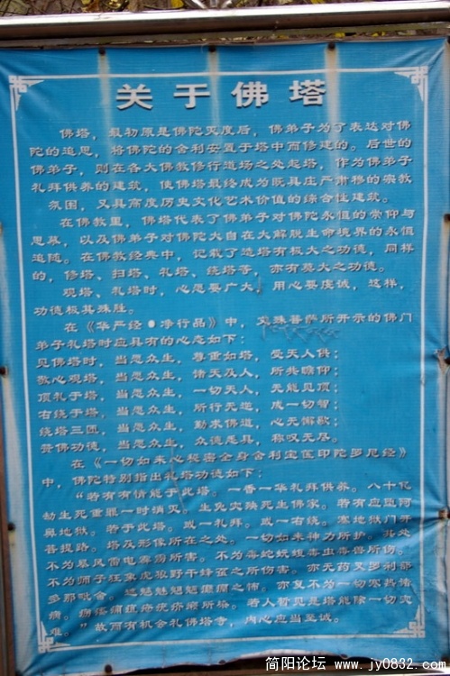 IMGP3614.jpg