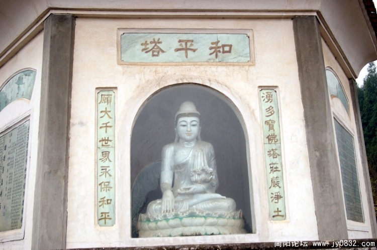 IMGP3616.jpg
