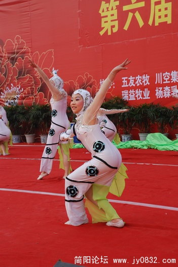 DSC_1206.JPG
