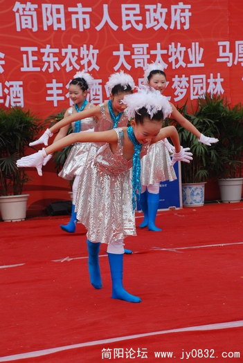 简城一小舞蹈海鸥飞翔.JPG