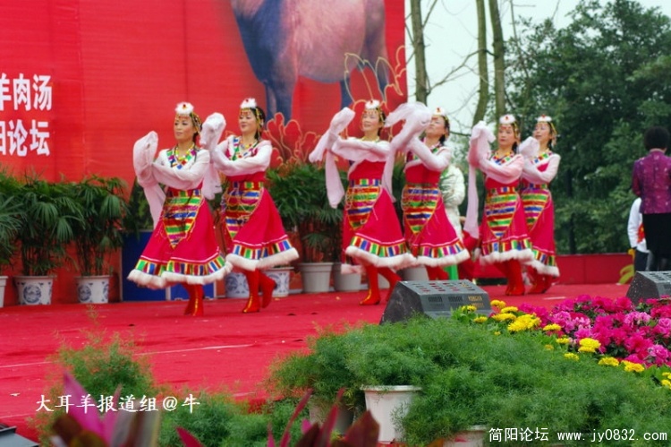 IMGP4392.jpg
