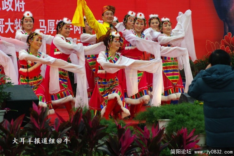 IMGP4397.jpg