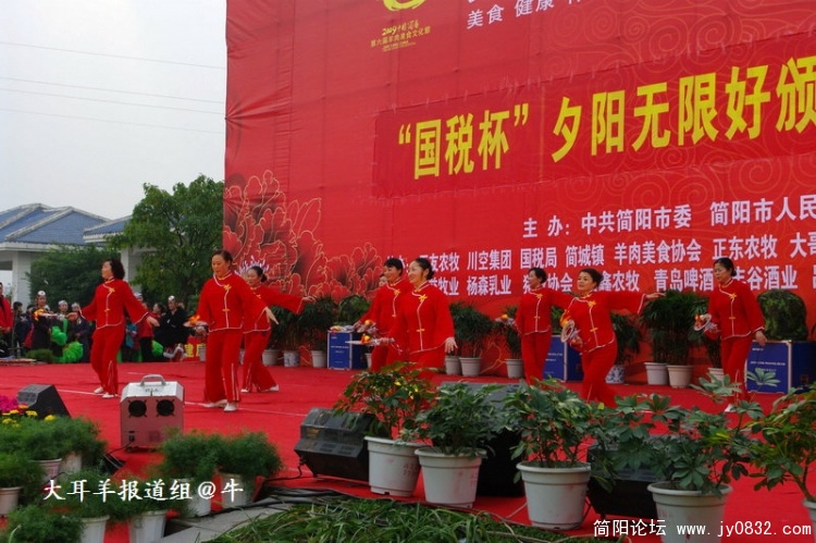 IMGP4438.jpg