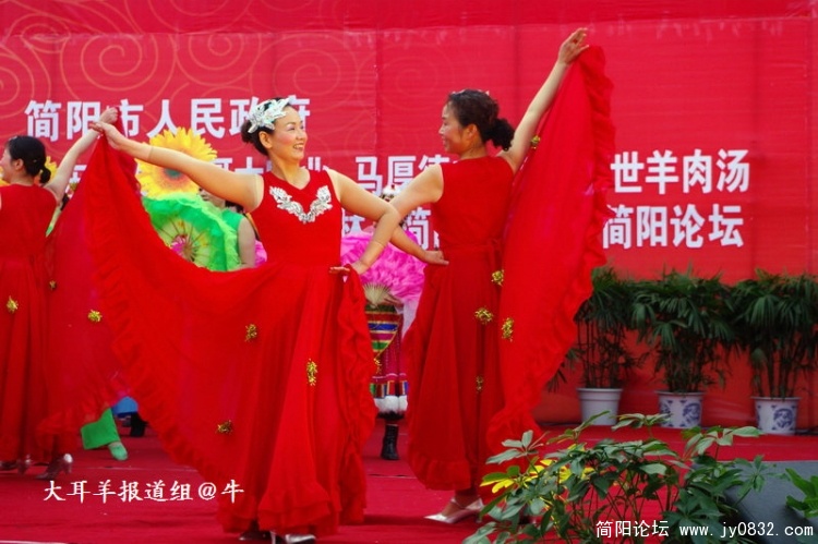 IMGP4463.jpg