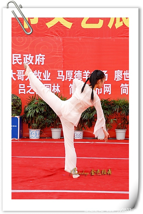 DSC_1016.jpg