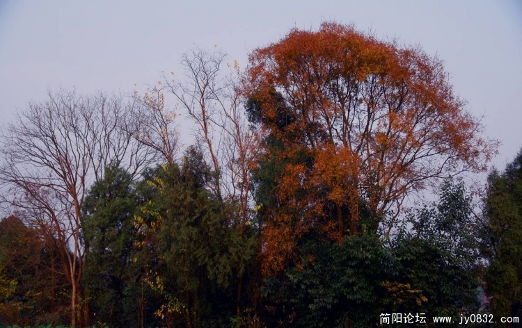 DSC02943.JPG