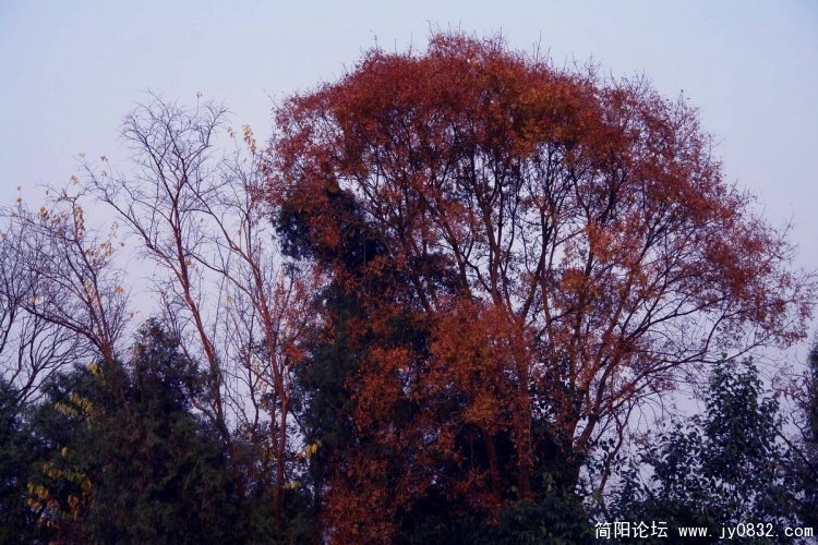 DSC02944.jpg