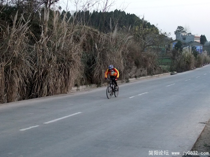 DSCF5745.jpg