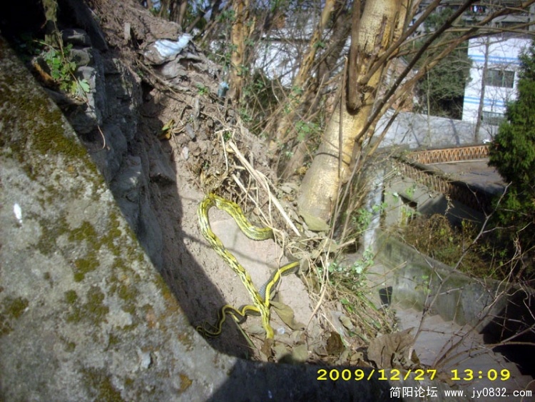 DSCI3718.jpg