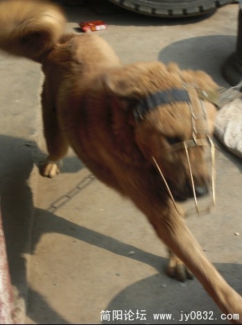 01.jpg