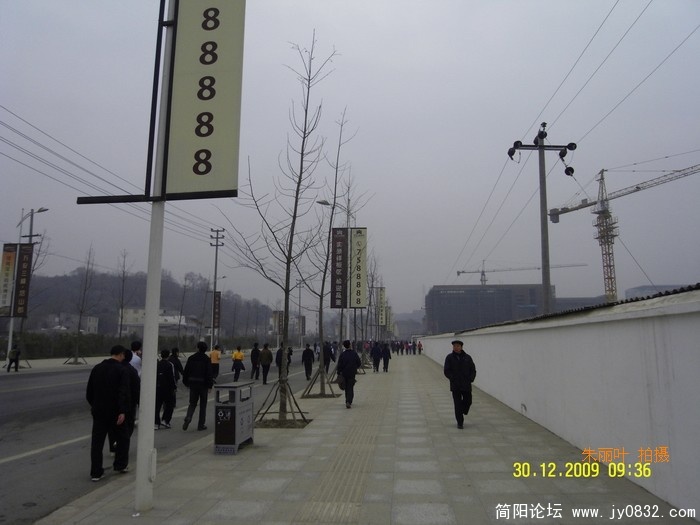 SDC13882.jpg