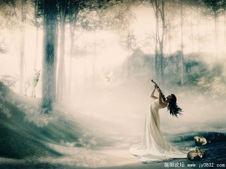 壁纸 (2).jpg