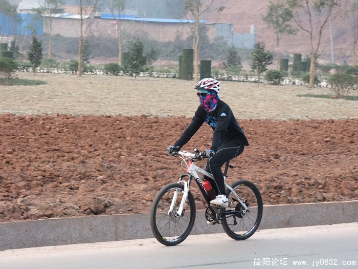 DSCF5981.jpg