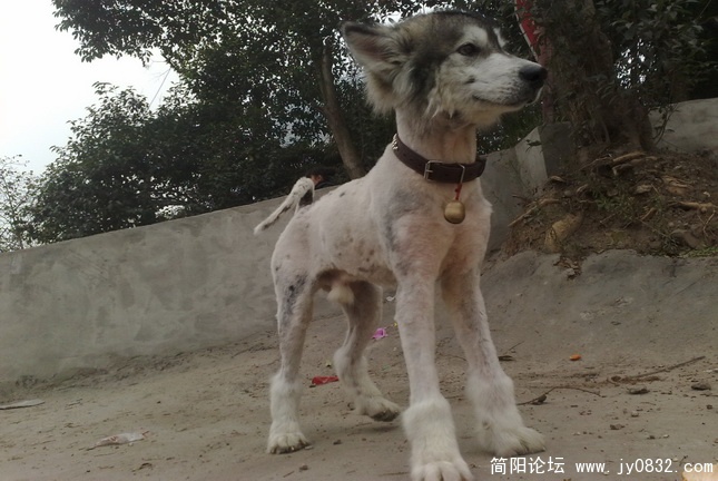 20100104030.jpg