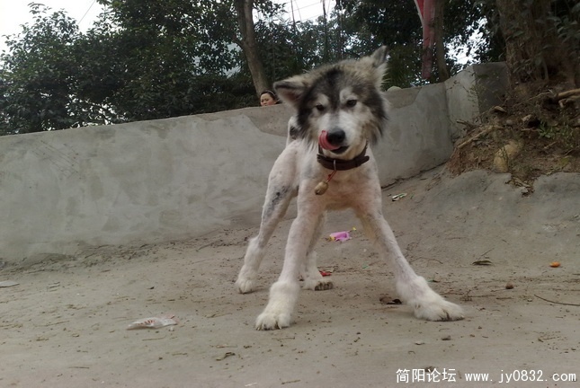 20100104032.jpg