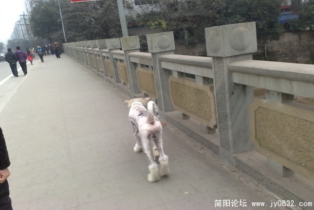 20100104034.jpg
