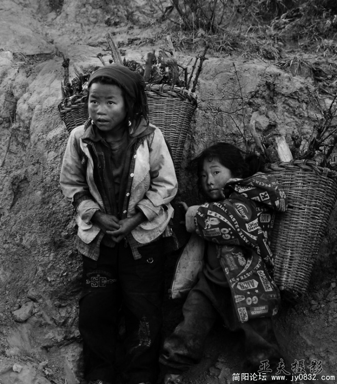 面对镜头，打柴的小女孩很害羞，其实，该脸红的是我们。