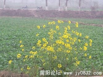 SNC00072.jpg