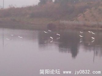 SNC00082.jpg