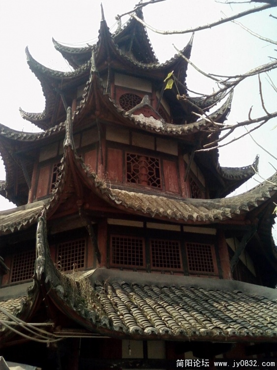 SP_A4616.JPG