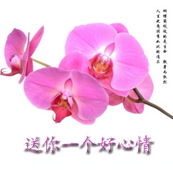 BE187126C0B6982A22EF71C8321F1C87.jpg