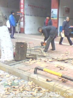 IMG0157A.jpg