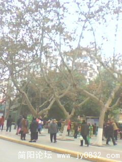IMG0178A.jpg