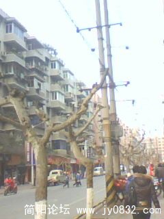 IMG0180A.jpg