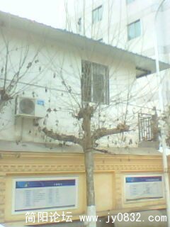 IMG0185A.jpg