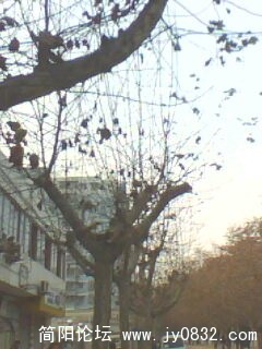 IMG0188A.jpg