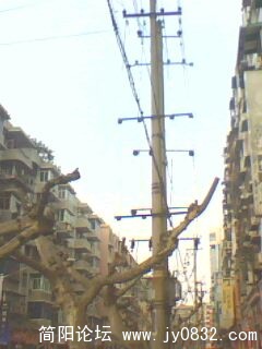 IMG0179A.jpg