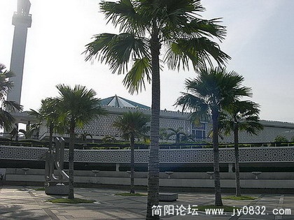 DSCN6427.jpg