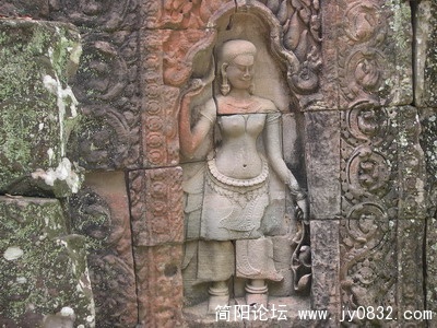 DSCN5672.jpg
