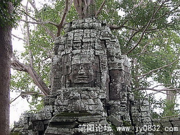 DSCN5675.jpg